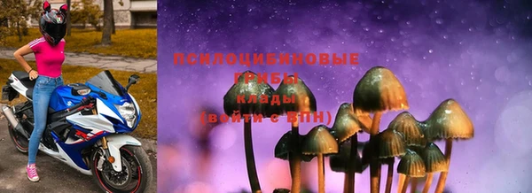 индика Алексин