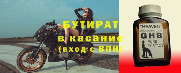 индика Алексин
