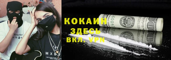 крисы Алзамай