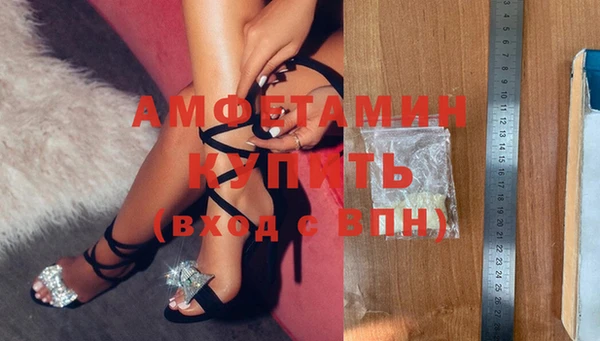 индика Алексин