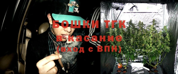 индика Алексин