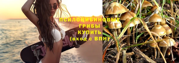 крисы Алзамай